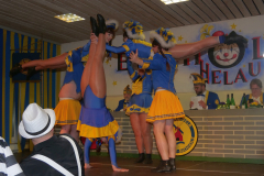 Einlage-gemischte-Garde-17