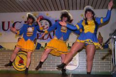 Einlage-gemischte-Garde-30